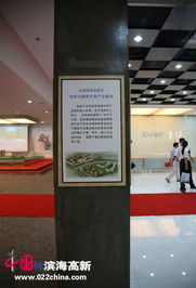 滨海高新区软件与服务外包产业基地今日开园，开启软件外包服务新篇章